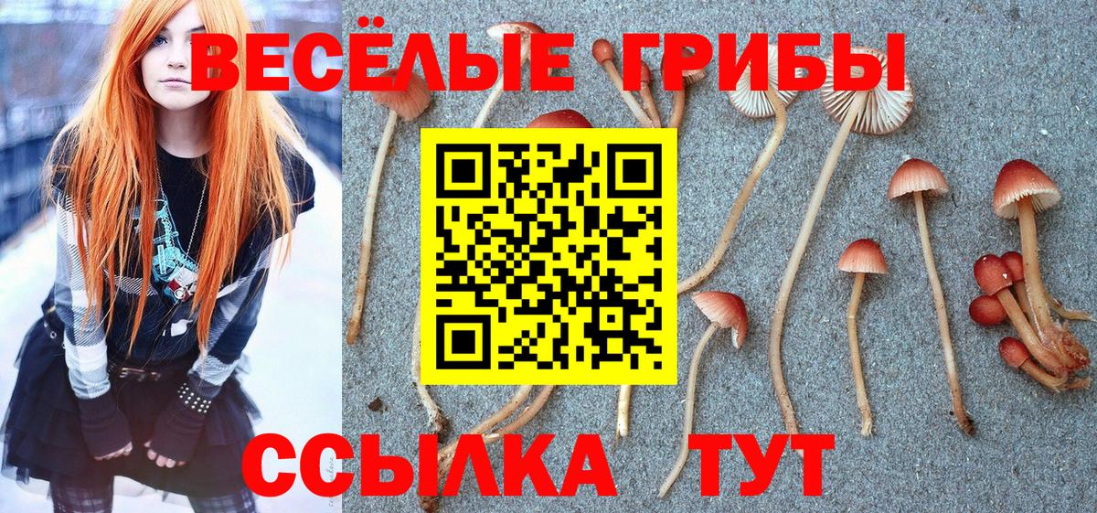 Псилоцибиновые грибы GOLDEN TEACHER Сосновый Бор