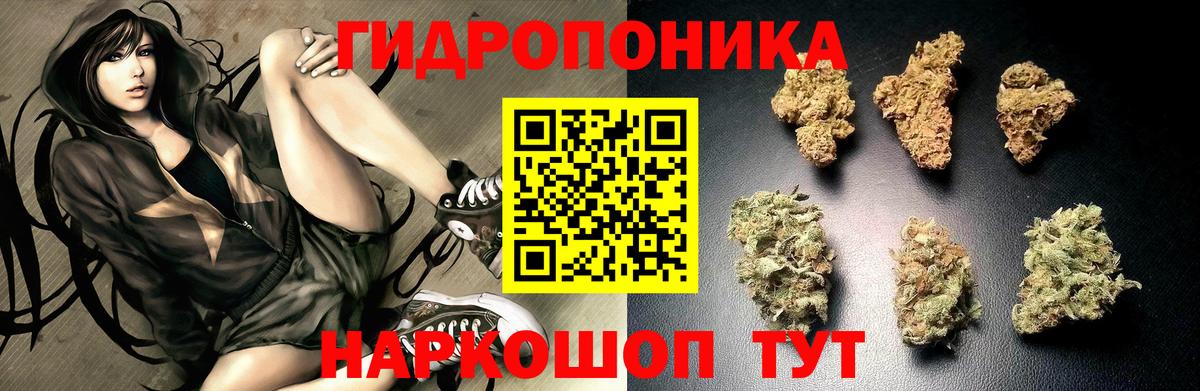 Сосновый Бор  Каннабис сатива  Конопля AK-47  Вход с VPN  Шишки марихуана MAZAR 